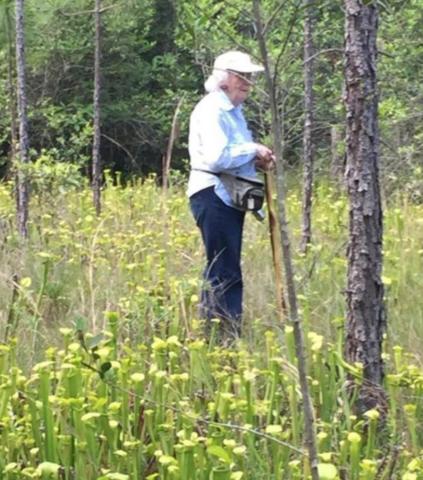 Conservationist Maxine Johnston in Pitcher Plant Patch Courtesy Photo