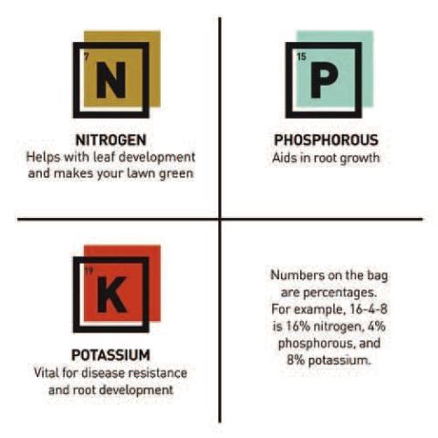 The numbers listed fertilizers packaging have significance and provide gardeners with important information that goes to the fertilizers’ makeup percentage of each element: Nitrogen (N), Phosphorous, (P) and Potassium (K) (image courtesy: pintrest.com).