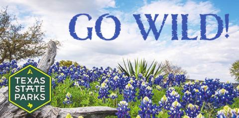 GO WILD!