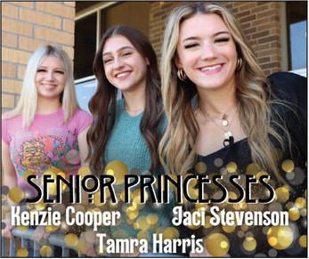Vidor High School’s 2023 Homecoming Court announced