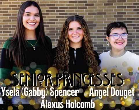One of these Vidor High School Senior Princesses will be crowned the 2024 VHS Homecoming Queen during halftime festivities Friday, October 25 at Pirate Stadium. This year’s Homecoming theme is “Big Buc Takes the Silver Screen.”