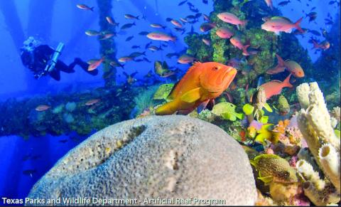 TPWD Deploys Materials for New Artificial Reef Site in Sabine
