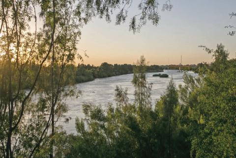The Rio Grande seen through dense brush near the Starr-Camargo bridge in Starr County. The state recently purchased a ranch in Starr County that it’s now offering to the federal government for a migrant detention center. Credit: Meghan Dhaliwal for The Texas Tribune