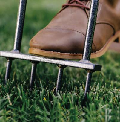 Reap Spring Rewards: Perform Yard Work Now