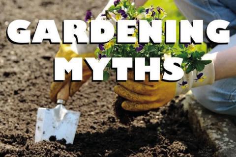 Fact or Fiction: Garden Myths…Debunked
