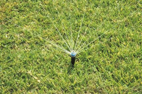 There is an art to maintaining a well-manicured, healthy lawn and fertilizer application has an important role in the maintenance routine by providing vital nutrients. Fertilizing a lawn provides thorough nutrition that will create a dense, luxurious “green carpet” (courtesy: agrilifetoday. tamu.edu).