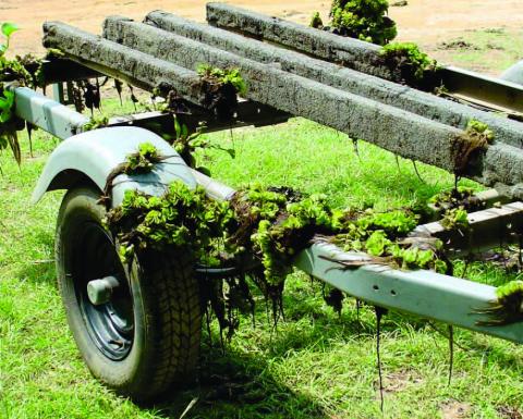 Boaters Urged to ‘Clean, Drain and Dry’ to Stop the Spread of Aquatic Invasive Species