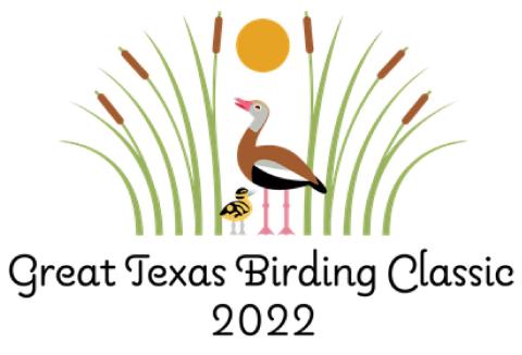 World’s largest birding tournament raises big money for Texas birds