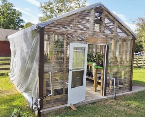 The addition of a sunshade (Aluminet) to the roof was installed to reduce sunlight intensity as the basis for the greenhouse (my all-time favorite plant genus-philodendron), which require reduced light intensity. Naturally, the number and type of plant varieties selected and placed into the greenhouse rapidly increased, requiring me to remove the sunshade to increase sunlight intensity (removing all philodendron species) except during the fall and winter months. (Image courtesy: John Green).