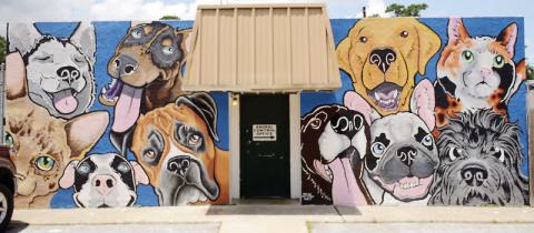 Main Street may become more colorful as the City of Vidor has reached out to some businesses with large bare exterior walls to gauge their interest in brightening up Main Street with a mural similar to this one on the city's Animal Control Building. Local artist Terry Bussinger did the honors on this mural and the 'I' in Vidor mural on the city library. Archive Photo