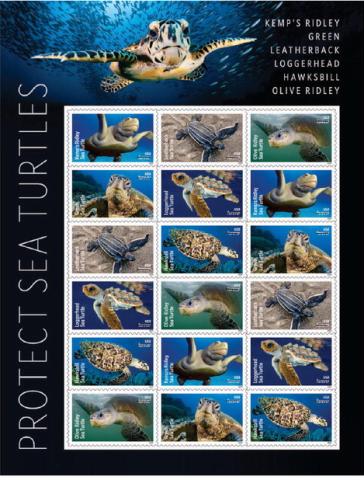 Sea Turtles Ride A Wave Onto New Stamps
