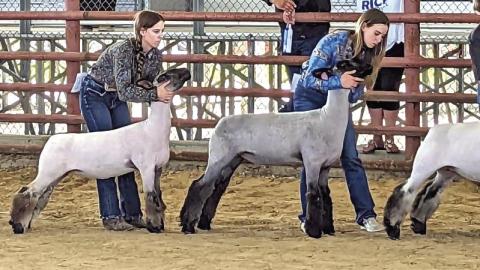 Vidor FFA at Rice Festival