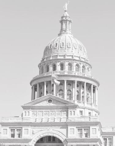 Alt Text for Image