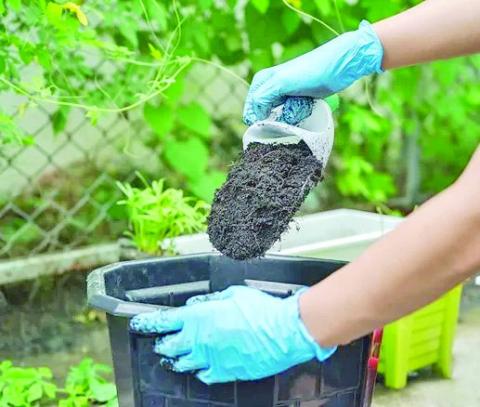 Soil contains a collection of ‘living’ microorganisms (microbiome) which includes bacteria, fungi, algae, and protozoa. These diminutive organisms perform a critical role in soil health: assist in breaking down organic matter, releasing ‘entrained’ nutrients, and suppressing plant diseases (image courtesy: myselectlawn.com).