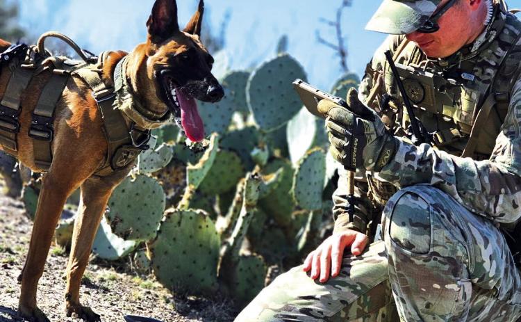 DPS K-9 Tracks Down Fugitive After Miles-Long Manhunt in Frio County