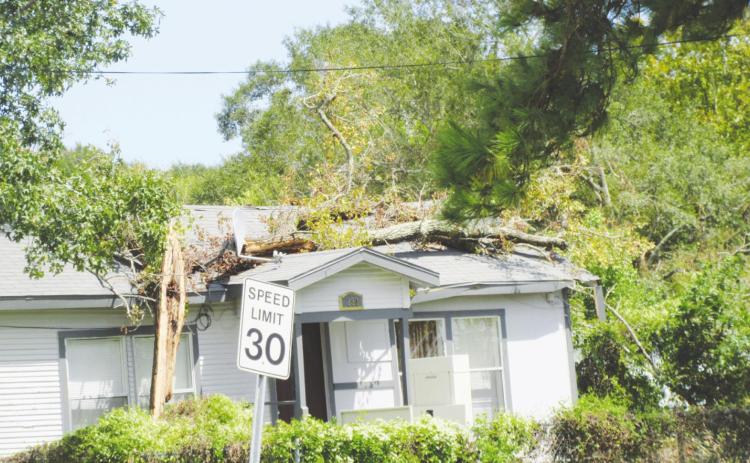 Hurricane Laura snapped this tree in half and threw it on top of this house on Wilson Street in Vidor. Photo by George Garza