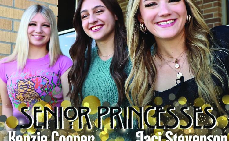 One of these Vidor High School Senior Princesses will be crowned the 2023 VHS Homecoming Queen during halftime festivities Friday at Pirate Stadium.