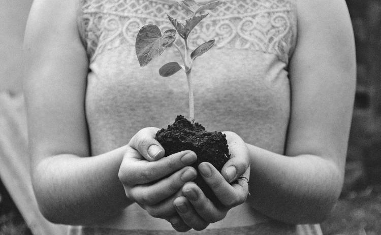 Photo courtesy of Unsplash