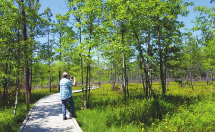 Third year in a row Big Thicket National Preserve welcomed record visitation