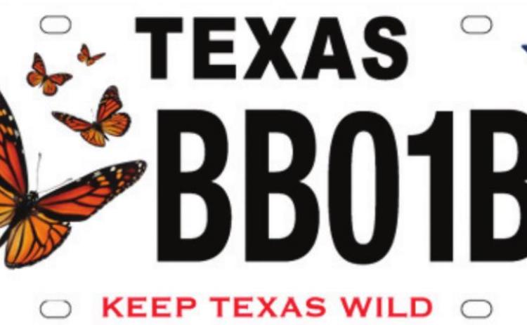 New monarch butterfly conservation license plate available for Texas drivers