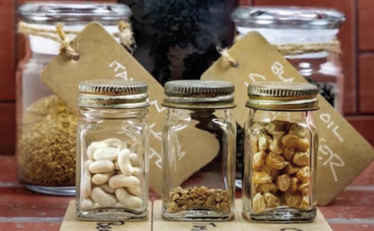 Saving seeds from a home flower or vegetable garden requires harvesting, drying, and storing seeds correctly to maintain viability for future planting (courtesy: farmersalmanac.com).