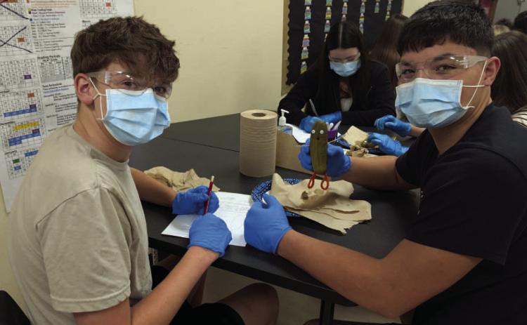 VHS Health Science Students Perform “Pickle Surgery” for Hands-On Learning