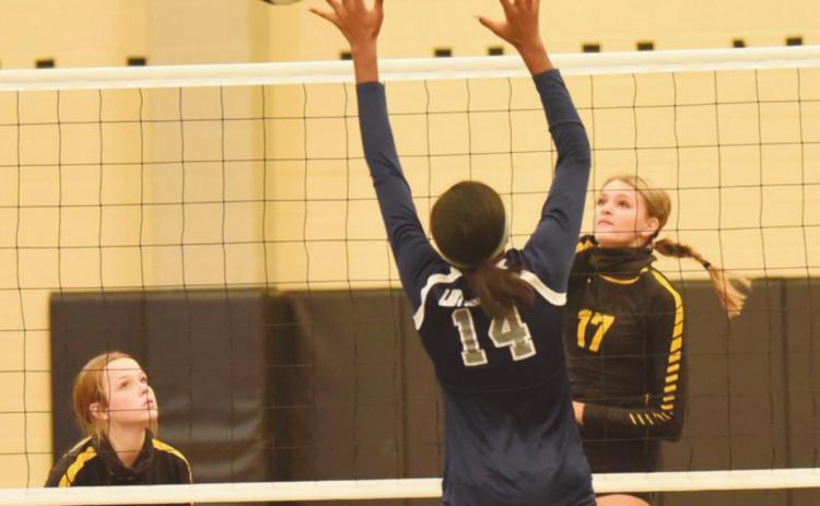 Lady Pirate JV Volleyball