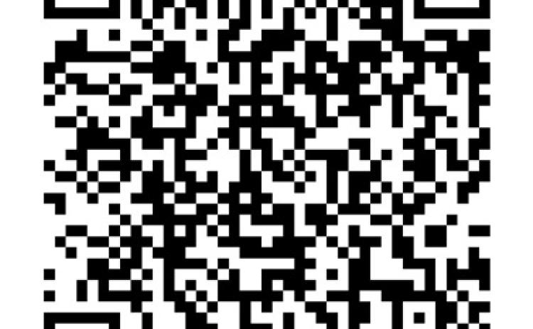 Alt Text for Image