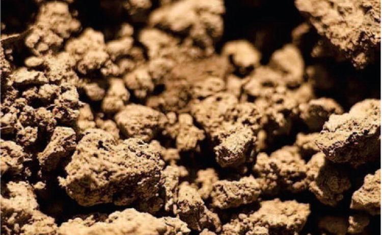 Clay soil is a challenge, since heavy clay soil drains slowly and retains moisture longer. After the soil dries completely, it becomes hard and brittle, often with fissures on a cracked surface (courtesy: gardendesign.com).