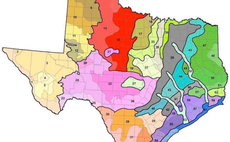 This map depicts 61 soil types within the state of Texas. Many SETX gardeners have Gulf Coast Prairie soil type which can be beneficial to plants due clay soils nutrient density but is difficult to manage and allow plants maximum nutrient benefit (USDA-Natural Resource Conservation Service).