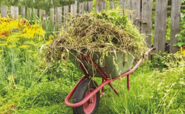 It doesn’t take much time before weeds establish themselves into garden and landscape areas. Unfortunately, gardeners who take the “wait and see” approach to weed management will experience extreme weed infestations quickly. Weed removal from severely infested areas is daunting, time consuming, and labor intensive (image: epicgardening.com).