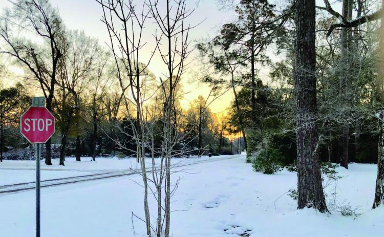 Area survives Winter Storm Enzo