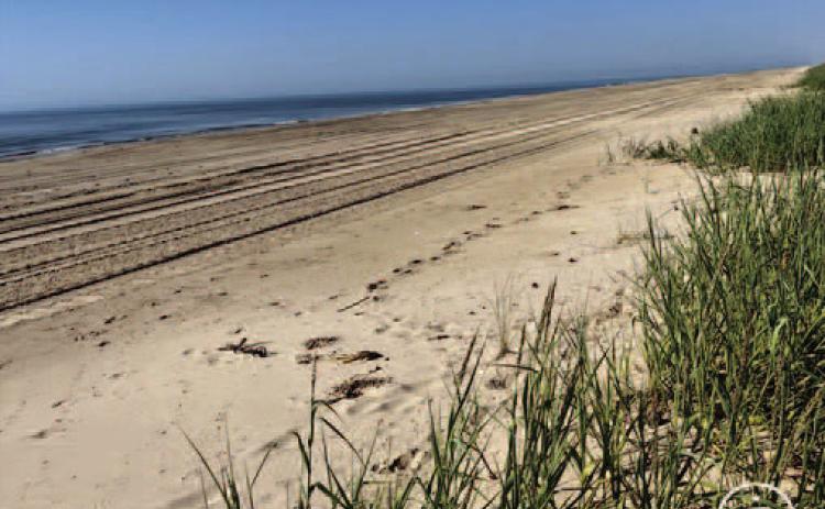 The beach at McFaddin National Wildlife Refuge in Sabine Pass, Texas