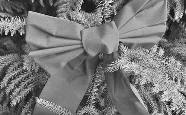 Home for the Holidays: Norfolk Island Pine