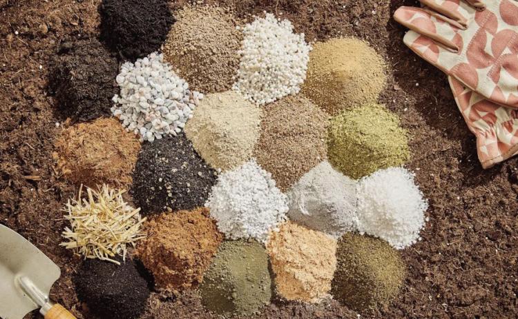 Improve Soil Structure and Nutrient Uptake