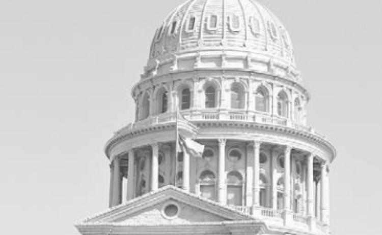 Twenty-nine new laws in effect in January