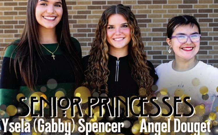 One of these Vidor High School Senior Princesses will be crowned the 2024 VHS Homecoming Queen during halftime festivities Friday, October 25 at Pirate Stadium. This year’s Homecoming theme is “Big Buc Takes the Silver Screen.”