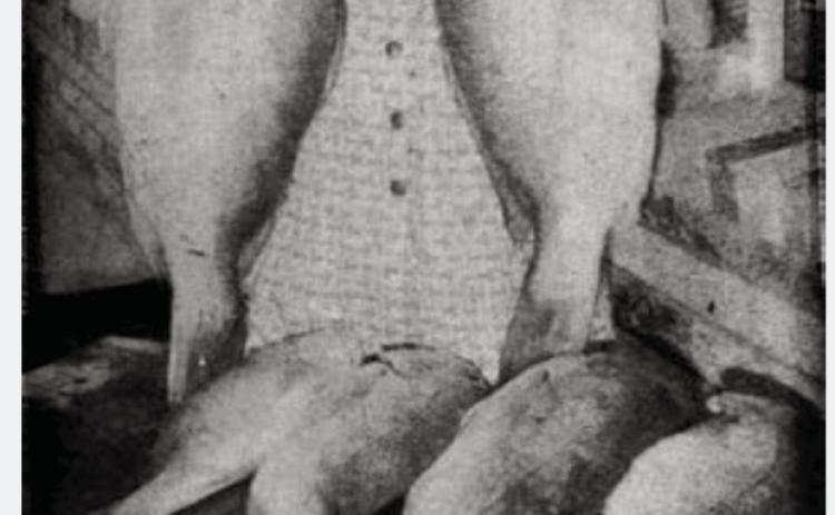 VIDOR’S PAST