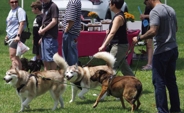 Barkfest a success