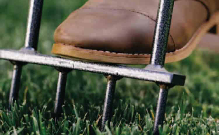 Reap Spring Rewards: Perform Yard Work Now