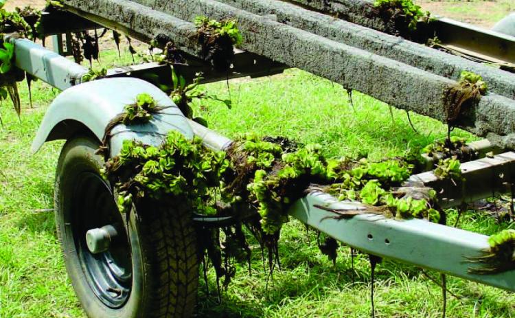 Boaters Urged to ‘Clean, Drain and Dry’ to Stop the Spread of Aquatic Invasive Species