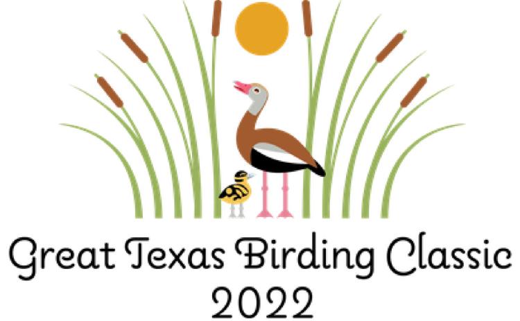 World’s largest birding tournament raises big money for Texas birds