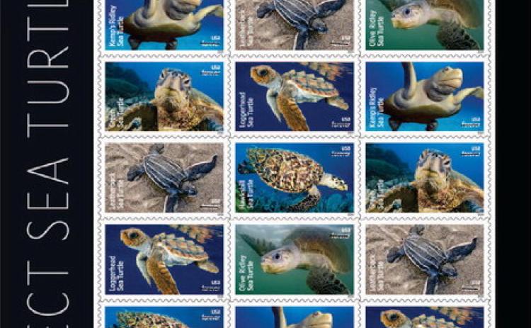 Sea Turtles Ride A Wave Onto New Stamps
