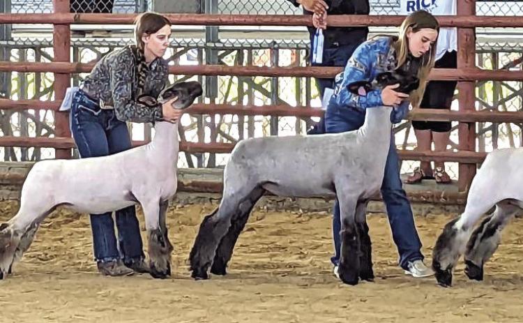 Vidor FFA at Rice Festival