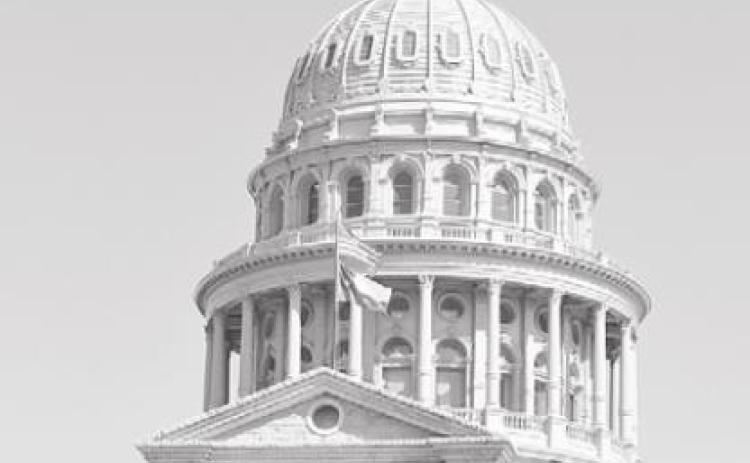 Alt Text for Image